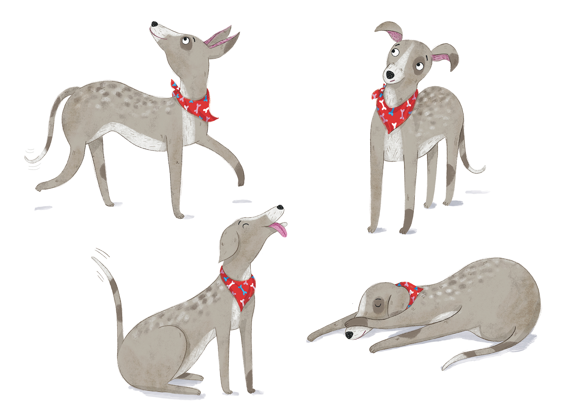Illustration by Christine Cuddihy showing a dog in four positions